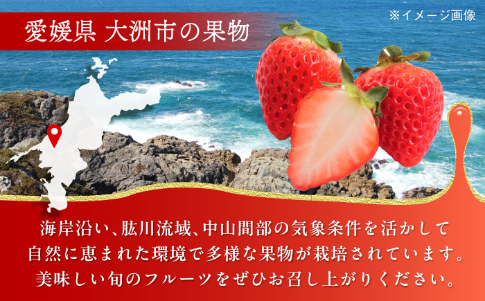 【冷凍】おいしさそのままぎゅっと閉じ込めました！紅ほっぺ800g×2パックセット　愛媛県大洲市/沢井青果有限会社 [AGBN041]苺 イチゴ スイーツ ケーキ かき氷 いちごパフェ ストロベリー お