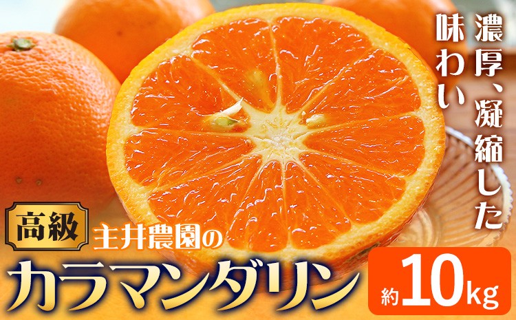
                  先行予約 高級カラマンダリン 約10kg 主井農園《4月上旬-5月中旬頃出荷》 和歌山県 日高町 カラマンダリン みかん 高級 果物 送料無料
                
