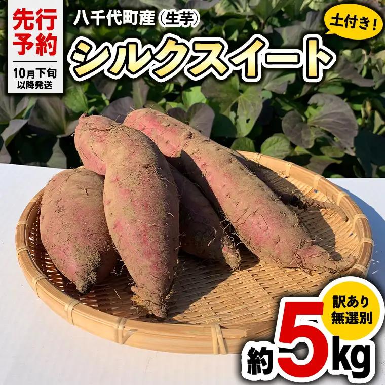 さつまいも シルクスイート 訳あり 約5kg サツマイモ