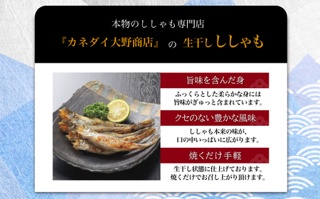 北海道産生干ししゃもセット（メス・オス各20尾） MKWAE001 | ししゃも