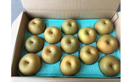 梨 フルーツ 果実 くだもの 竜王産 滋賀県 竜王町 送料無料 期間限定 数量限定