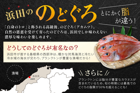 山陰浜田極味 のどぐろ一夜干し（大）2枚入り 干物 冷凍 ひもの 一夜干し のどぐろ お取り寄せ グルメ レシピ付き 【1453】