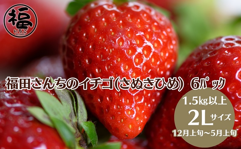 福田さんちのイチゴ(さぬきひめ) 2L サイズ ×6パック1.5kg以上【配送不可：北海道、沖縄、離島エリア】苺 農園直送 いちご採れたて直送
