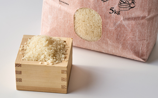 コシヒカリ　いっちょ米(5kg×2袋)【1536084】