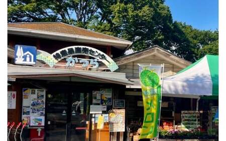 ジャム2種セット【ゆず・うめ】(AF115)