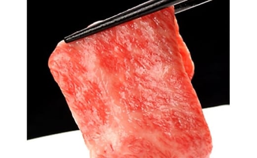 飛騨牛 5等級 サーロイン すき焼き用 厚切り 600g 牛肉 和牛 飛騨市推奨特産品 古里精肉店謹製