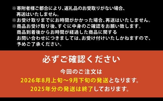 熊本県産 シャインマスカット 約1.7kg以上（2～4房）【2026年8月上旬発送開始】 果物 くだもの フルーツ ぶどう おやつ 果実 熊本県産 国産