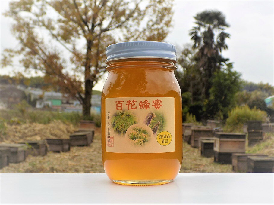 【ふるさと納税】【京都ヒグチ養蜂園】京都市産天然百花はちみつ 600g［ 京都の天然はちみつ 蜂蜜 ハチミツ 国産蜂蜜 人気 おすすめ ギフト プレゼント お取り寄せ 通販 送料無料 ふるさと納税 ］