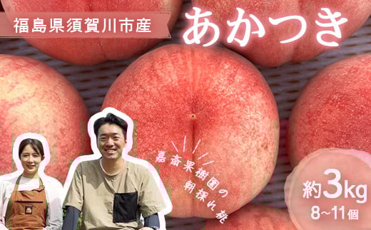 ＜先行受付＞ 嘉斎果樹園の桃「あかつき」約3kg（8～11個） もも モモ 桃 デザート フルーツ 果物 くだもの 果実 食品 F7X-0139