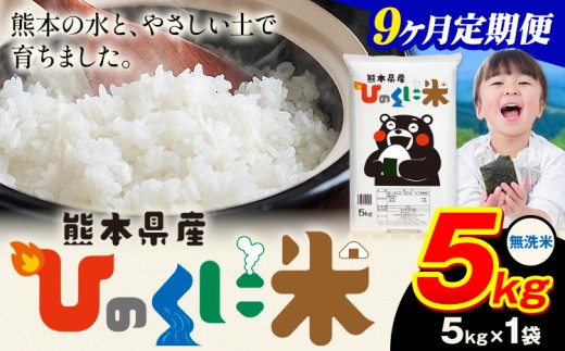 【9ヶ月定期便】 無洗米 ひのくに米 5kg 《申込月の翌月から出荷開始》 食品 米 こめ コメ 熊本県産 ふるさと納税 お米 おこめ 熊本