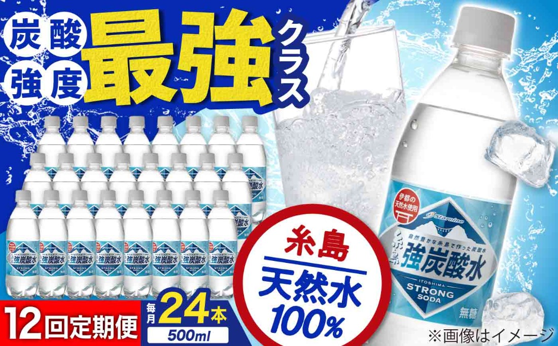 【全12回定期便】強炭酸水 プレーン 500ml × 24本 糸島市 / スターナイン 炭酸水 国産 [ARM011] 炭酸水 500ml 24本 送料無料 プレーン 国産 炭酸 常温
