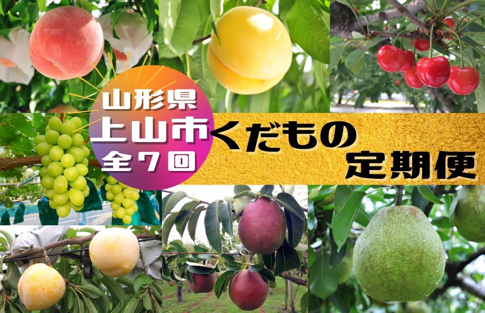 
            【定期便：全７回】くだもの定期便　0047-2513
          