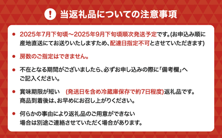 7月のぶどう屋さん 新鮮朝採れシャインマスカット 4～5房 （約1.8kg） 松川果樹園 新鮮 シャインマスカット 朝採れ マスカット ギフト 贈答用 種なし ぶどう 葡萄 国産 九州 熊本県 宇城市