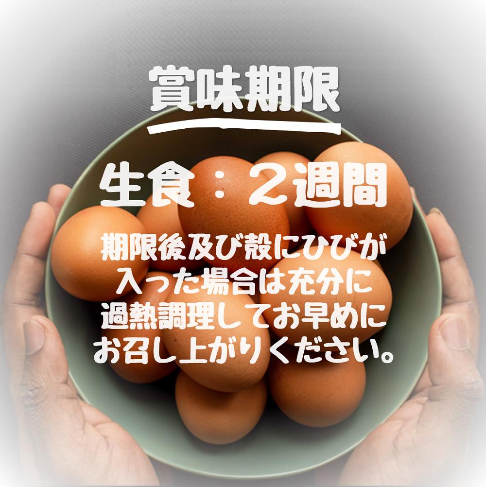 たかはしさんの新鮮たまご30個_イメージ5