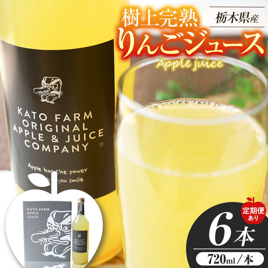 【ふるさと納税】【選べる発送回数】栃木県矢板市産 樹上完熟100％りんごジュース 720ml×6本入 | 100％ジュース ストレートジュース 国産ジュース 無添加 無加糖 りんご 果汁100 お取り寄せジュース 高級ジュース 自然の甘さ 美味しいジュース 栃木県 矢板市