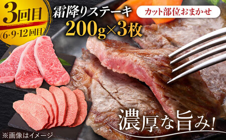 【全12回】旨みじゅわ〜♪ A4 A5 佐賀牛 霜降り定期便 12,000g 総計12kg 吉野ヶ里町/ミートフーズ華松 佐賀牛 牛肉 肉 霜降り 国産 ブランド牛 [FAY024]