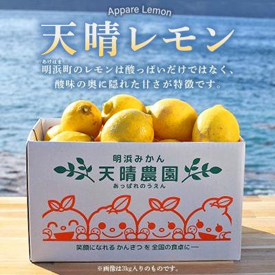 ふるさと納税 西予市 【先行受付】天晴レモン　ご家庭用　約1.5kg |  | 01