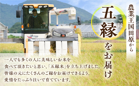 五縁米10 kg こしひかり お米 ごはん コシヒカリ 白米 10キロ 産地直送 愛知県 田原市 2kg×5袋 5kg×2袋 選べる