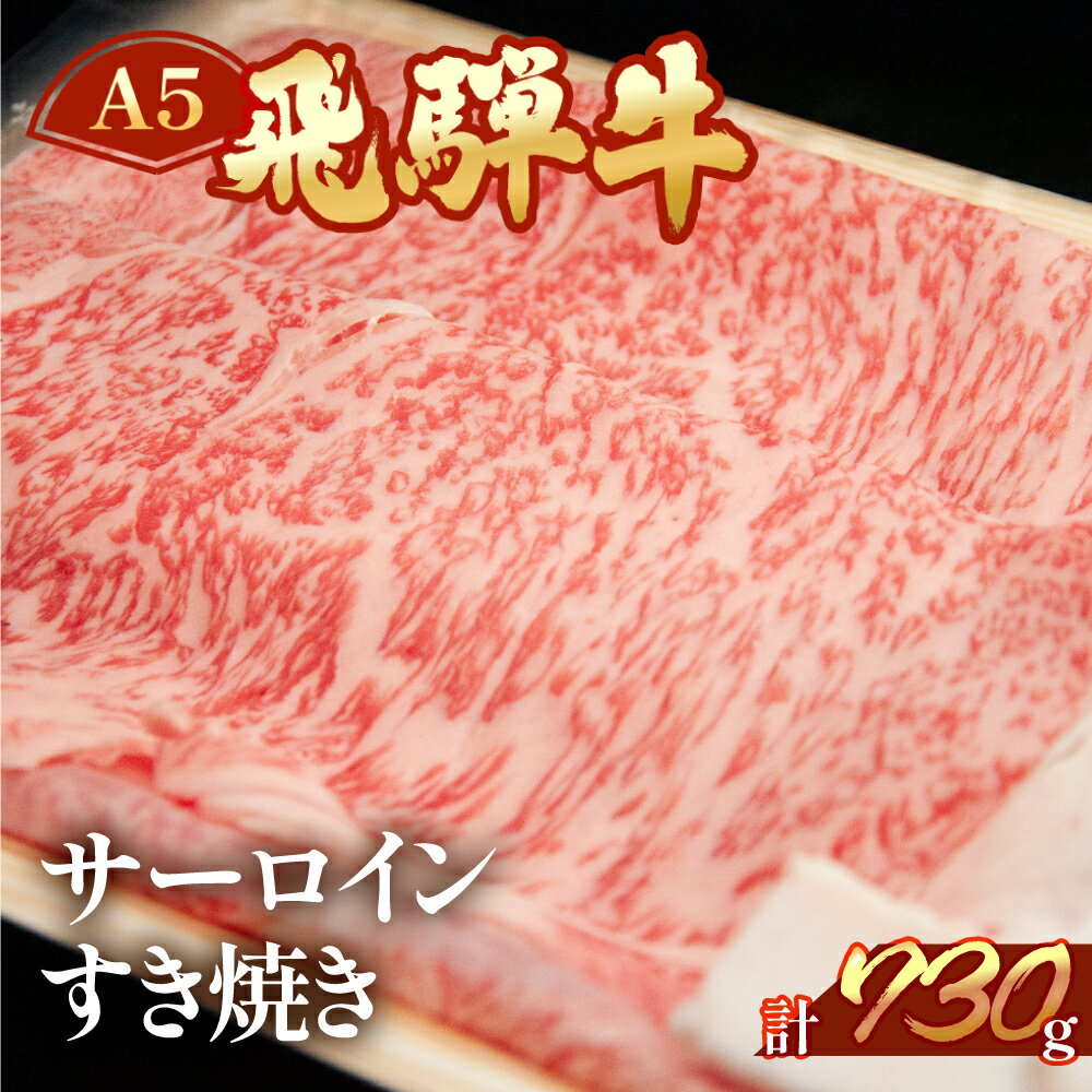 【ふるさと納税】A5 飛騨牛 サーロイン すき焼き 730g 霜降り 【冷凍】　冷凍配送 下呂温泉 おすすめ 牛肉 肉 和牛 赤身 人気 ブランド牛 肉ギフト 国産 贈答品 すき焼き用 すきやき ギフト 和牛 50000円　5万円 岐阜県 下呂市