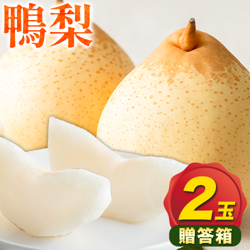 【先行予約】梨 なし 鴨梨 ヤーリー 贈答箱 2玉 石原果樹園 《11月中旬-12月下旬頃より発送予定》岡山県 浅口市 果物 フルーツ お取り寄せ お取り寄せフルーツ 送料無料
