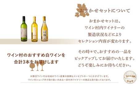 ワイン村 おまかせワイン(白)3本セット(KWV)C5-620 【ワイン 勝沼ワイン村 白ワイン 甲州市 山梨県 】