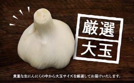 厳選大玉 生にんにく 約2.5kg【2026-5月上旬～2026-6月上旬配送】