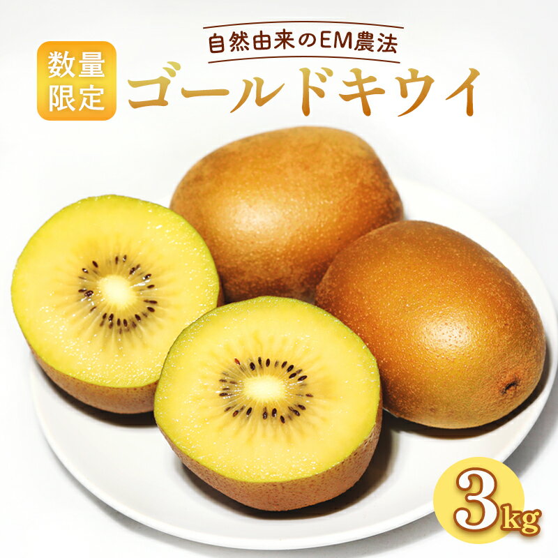 【ふるさと納税】≪先行予約≫ ゴールドキウイ 3kg （30個前後）【 京都 綾部 キウイ フルーツ ゴールド 3キロ 果物 フルーツ デザート 農家直送 国産 産地直送 旬 】