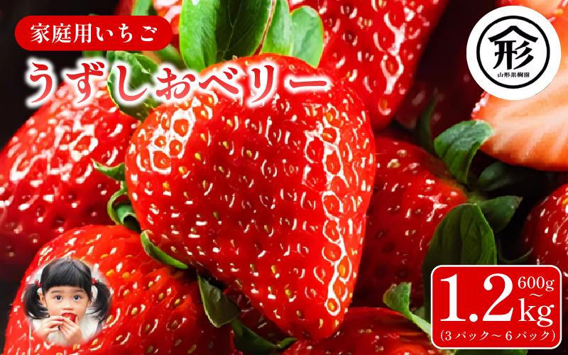 
            【2026年 先行予約】いちご 苺 3パックから6パック 600g～1.2kg 1月～4月末まで発送 うずしおベリー 果物 フルーツ デザート 旬 新鮮 季節 冬 人気 ケーキ おすすめ ギフト プレゼント 贈答 家庭用 先行予約 送料無料 ichigo 徳島
          