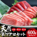 【ふるさと納税】天然本マグロセット 600g (約100g×6p) 赤身400g 中トロ100g 大トロ100g まぐろ 旬 鮪 鮮度抜群 魚種 柵 赤身 中トロ 大トロ 高たんぱく 低カロリー 真空 冷凍 刺身 家庭用 小分け 沖縄 糸満市 33000円