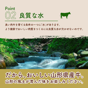 【3ヶ月定期便】毎月お届け!湯せんで温めるだけ! 山形県産 牛肉ハンバーグ 1.32kg (110g×12個入り)×3回