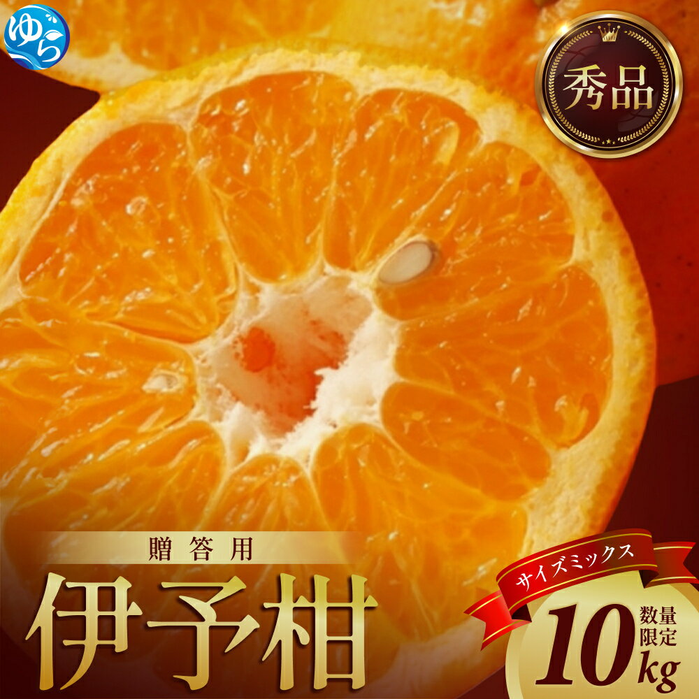 【ふるさと納税】 伊予柑 和歌山みかん 秀品 10kg 贈答用 / いよかん 柑橘 贈り物 フルーツ 果物 くだもの 食品 送料無料 由良町 ※2027年1月中旬頃～3月上旬頃に順次発送予定