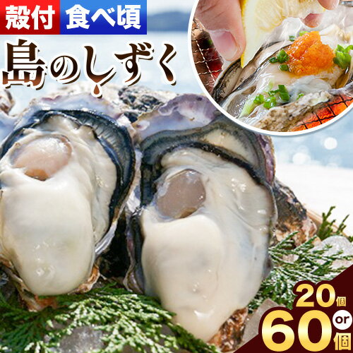 【ふるさと納税】【牡蠣-1グランプリ受賞】【厳選！】日生頭島殻付牡蠣「島のしずく」（加熱用：食べ頃サイズ 20個 or 60個）《2026年1月上旬‐4月上旬頃より出荷予定》岡山県 備前市 牡蠣 かき