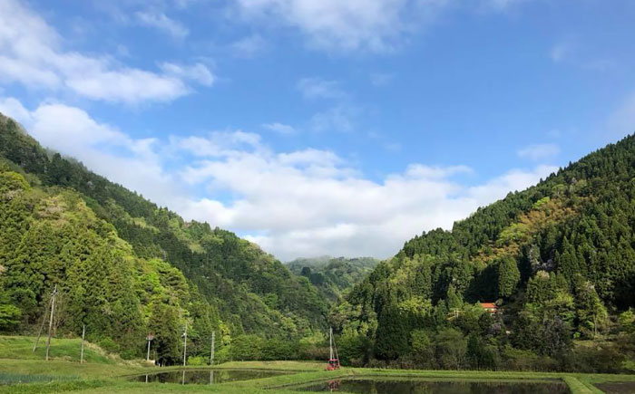 餅 杵つきまるこもち 300g 5袋セット（50個）[AIBB016]