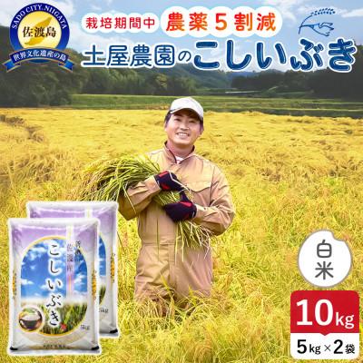 ふるさと納税 佐渡市 令和7年産 佐渡島産こしいぶき 白米10kg 土屋農園 農家直送 栽培期間中農薬5割減
