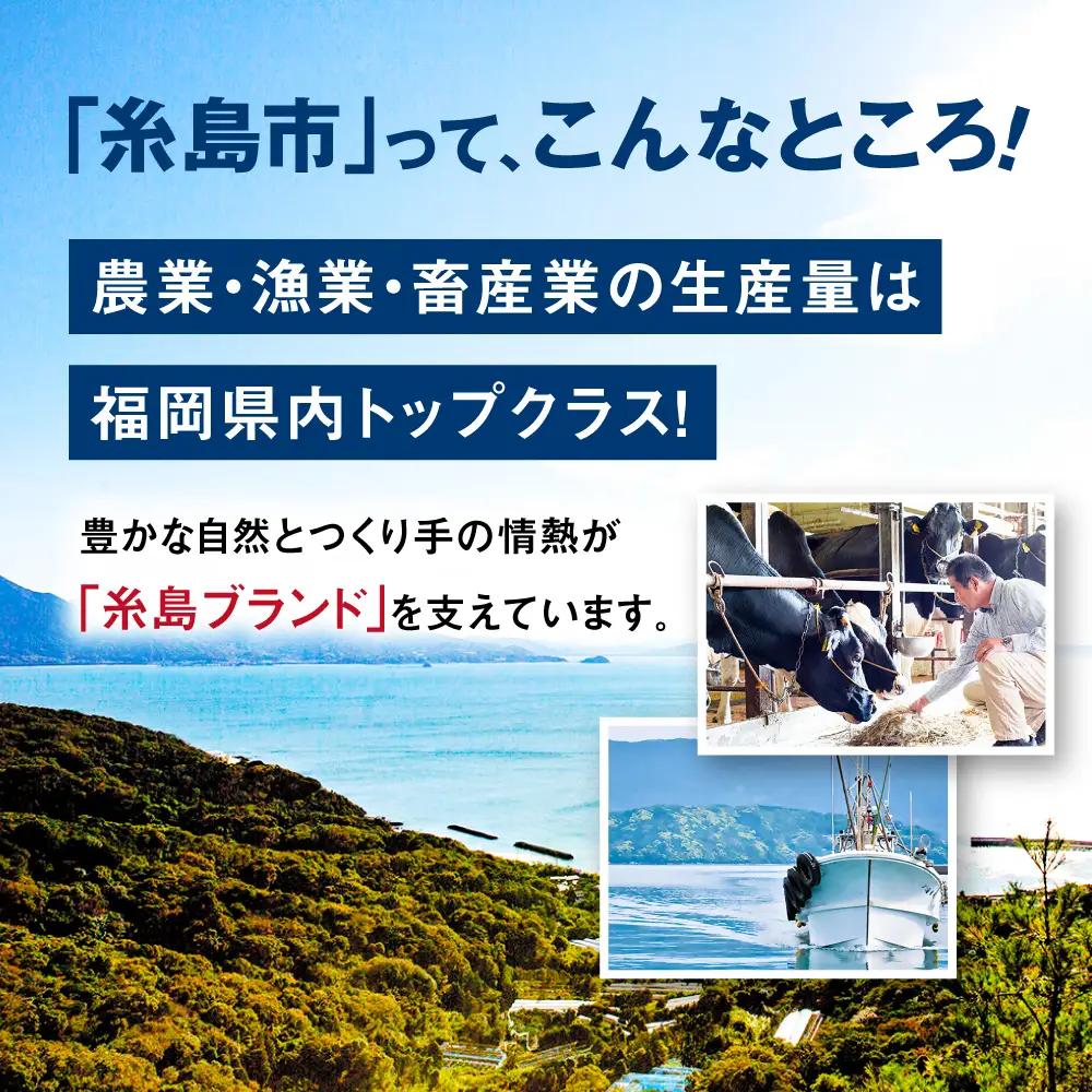 【手縫いの本革製品】キーホルダー 本革《糸島》【BLESS】  [AAA002]