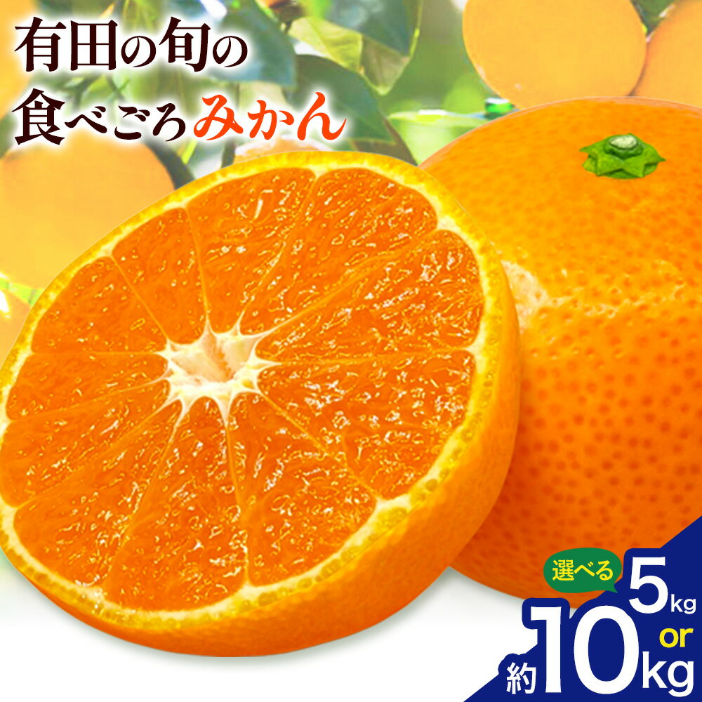【ふるさと納税】「農園直送」有田の旬の食べごろ みかん 選べる内容量 約5kg 約10kg (サイズ混合・秀優混合) 厳選館《11月中旬-1月中頃出荷》 和歌山県 日高川町 みかん 温州みかん 柑橘 フルーツ