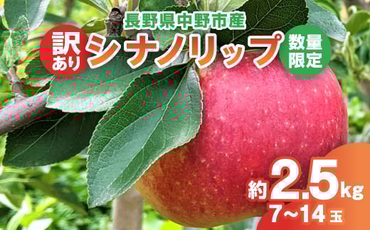＜2025年発送＞＜数量限定!＞シナノリップ 訳あり 約2.5kg(7-14玉) 中野市産【1413211】
