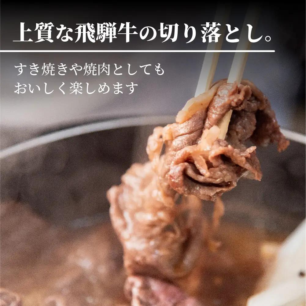 【ふるなびWEEK対象】牛肉 飛騨牛 訳あり 切り落とし500g 牛肉 LR011