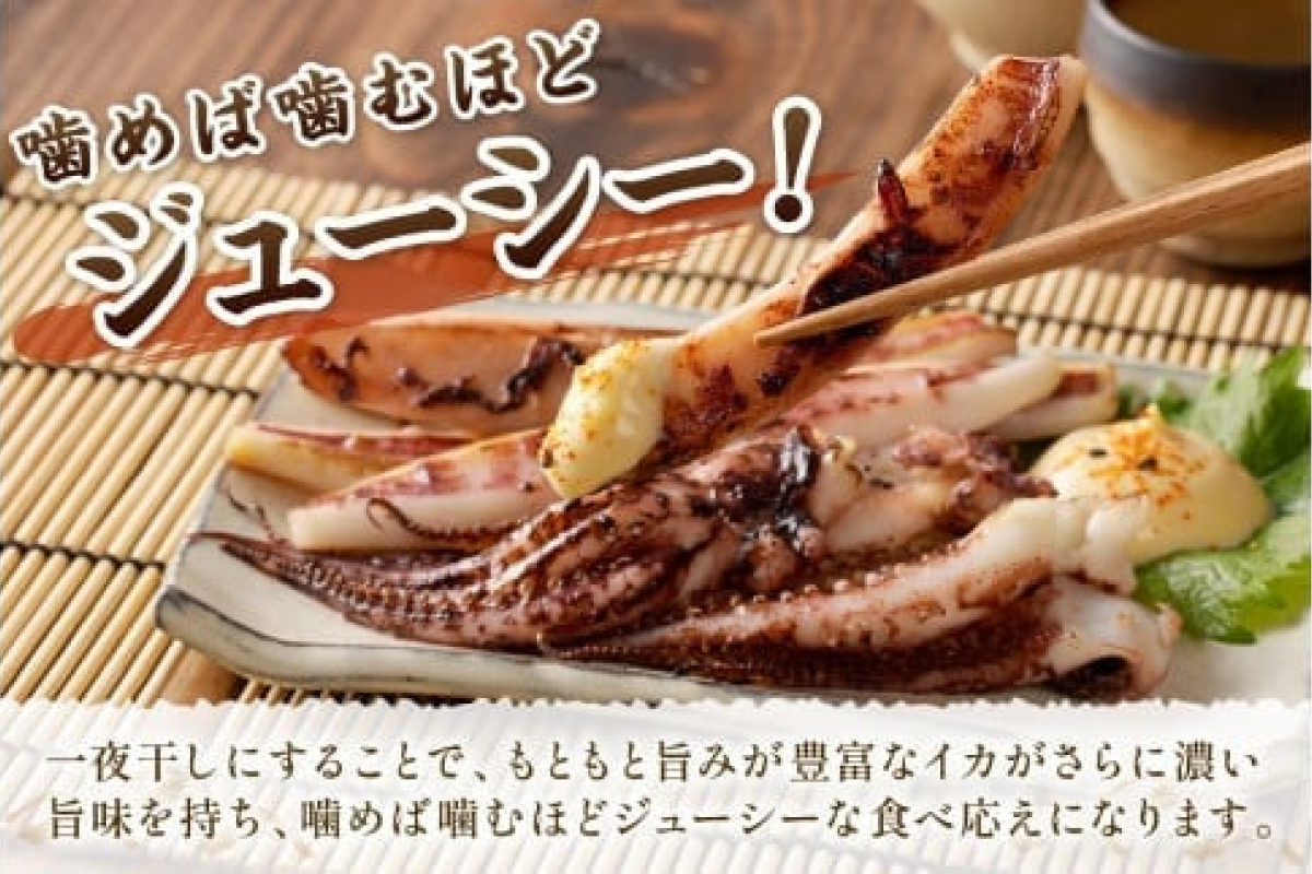 島根県産スルメイカ一夜干しカット済600g　（ゲソ200g付き） 産地直送 干物 一夜干し イカ 人気 大容量 小分け 国産 【005_2058】
