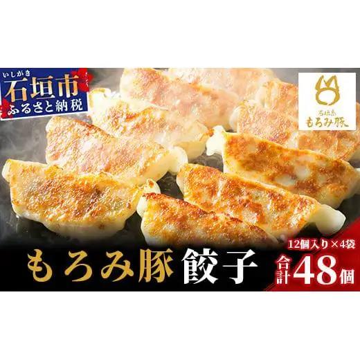 もろみ豚 特製 餃子 4パック【合計48個】 AH-5