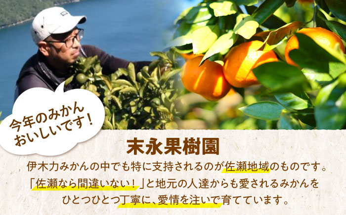 ※【2026年11月より順次発送／先行予約】伊木力温州早生みかん5kg(ご家庭用、箱入り) / 伊木力 温州みかん みかん ミカン 蜜柑 佐瀬 諫早 多良見 長崎 早生　/ 末永果樹園 [AHBD00