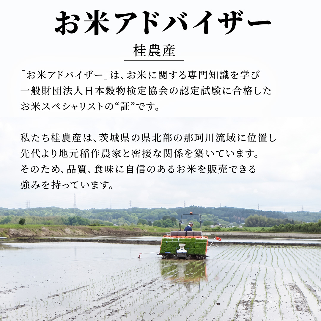 【新米】【 3ヵ月 定期便】 コシヒカリ 20kg ×3回 令和8年産 