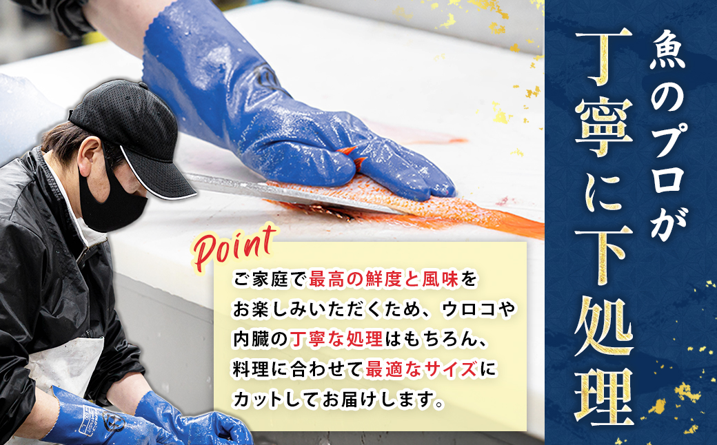 【定期便 3ケ月連続】 お魚の目利きのプロにお任せ！北海道産（国産） 天然 鮮魚 約500g～1kg（釧路の鮮魚セット） 産地直送 冷蔵 冷蔵便 刺身 セット 鮮魚セット 鮮魚ボックス 定期便 魚介類