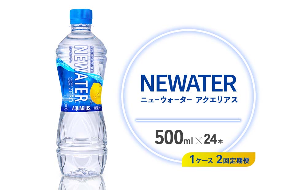 【2回定期便】アクエリアス ニューウォーター 500ml PET【コカ・コーラ】ペットボトル 1ケース(24本) 定期便 2回(48本) セット スポーツドリンク スポドリ カロリーゼロ 熱中症対策 水分補給 清涼飲料水 宮崎県 えびの市 送料無料