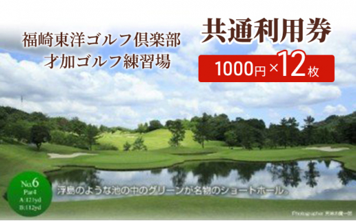 福崎東洋ゴルフ倶楽部・才加ゴルフ練習場 共通利用券 1000円×12枚