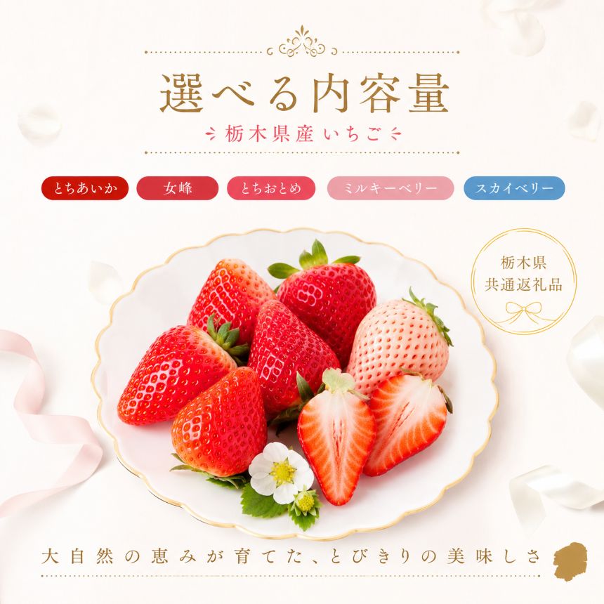 【ふるさと納税】 いちご 食べ比べ とちあいか とちおとめ スカイベリー 女峰 ミルキーベリー2種類 3種類 4種類 選べる 定期便 | 栃木県共通返礼品 不揃い いちご フルーツ 果物 果樹 デザート 栃木県 那珂川町 送料無料