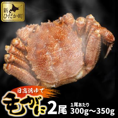 ふるさと納税 新ひだか町 北海道産浜ゆで毛ガニ 300g〜350g×2尾