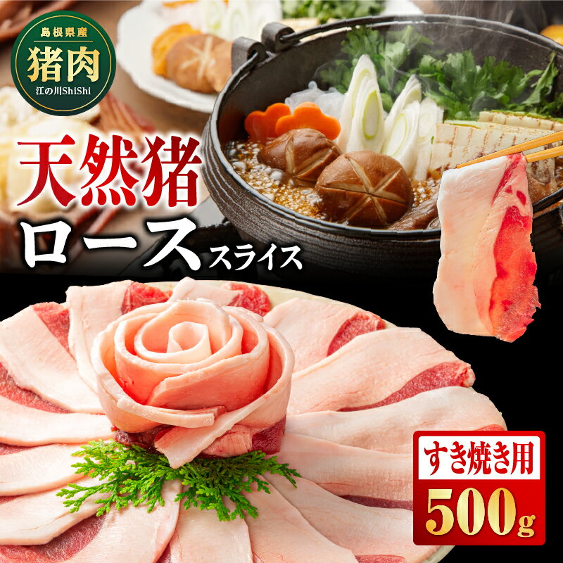 【ふるさと納税】天然猪ローススライスすき焼き用500g【AI-8】｜送料無料 国産 ジビエ 天然ジビエ 天猪肉 いのしし肉 イノシシ肉 ロース ロース肉 スライス すき焼き用 すき焼き 鍋 500g 贈り物 贈答品｜