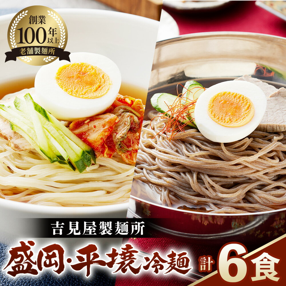 【ふるさと納税】焼肉屋さん御用達 業務用冷麺6食セット［盛岡冷麺 平壌冷麺2種詰合せ］個包装 スープ付き 辛味の素付き 常温保存3ヶ月 ／ 冷麺セット 6食 個包装 手軽 時短 簡単調理 セット 大容量 夏 自宅 ランチ 昼ごはん 冷やし麺 定番 麺 めん 麺類 本格麺 No.629
