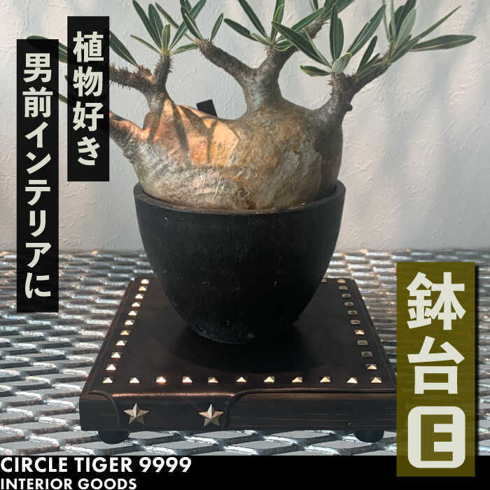 【ふるさと納税】1点モノ 鉢台 E《豊前市》【CIRCLE TIGER 9999】インテリア 植物 グリーン 室内 観葉植物[VCS005] 46000 46000円